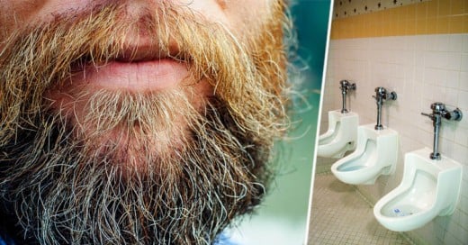Las barbas tienen las mismas bacterias que las de un inodoro y otras 7 cosas que no sabías de ellas