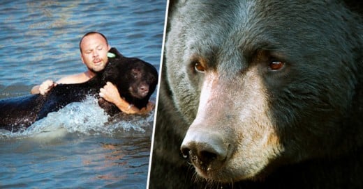 Vio un oso en peligro en el agua, lo que hizo es la cosa más ALFA que cualquier hombre puede hacer