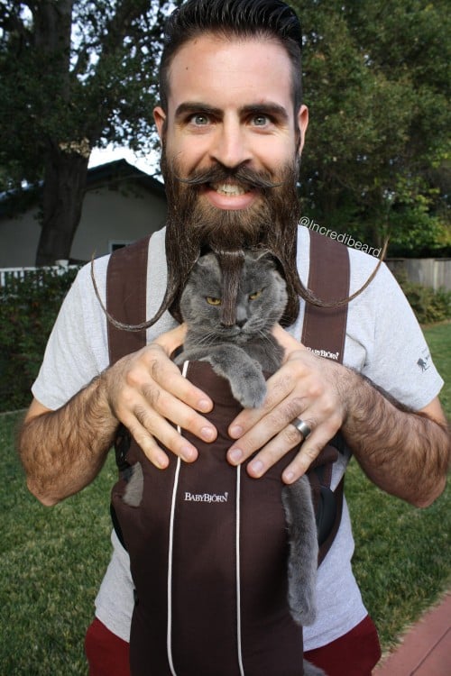 Incredibeard Gato