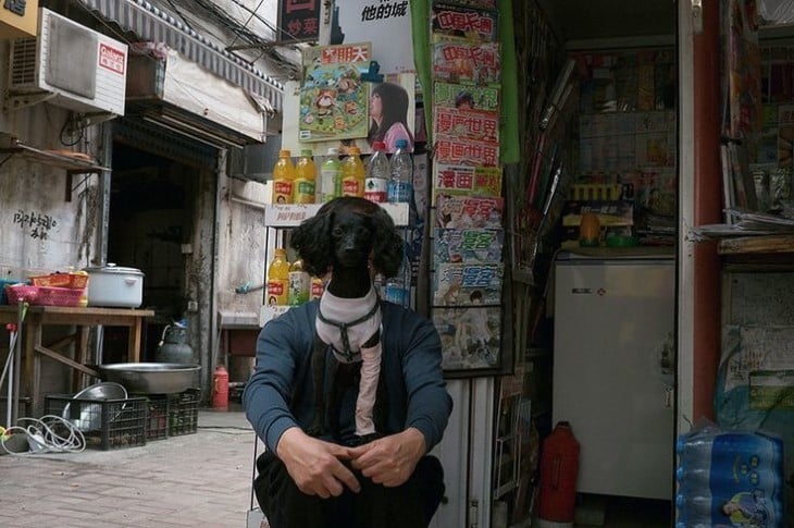 Imágenes de perros tomadas en el justo momento