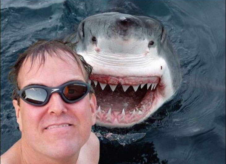 selfie con tiburon blanco