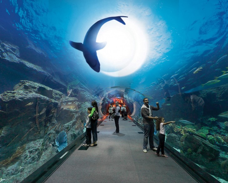 acuario mall centro comercial dubai