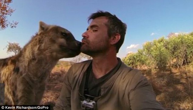 selfie con hiena salvaje