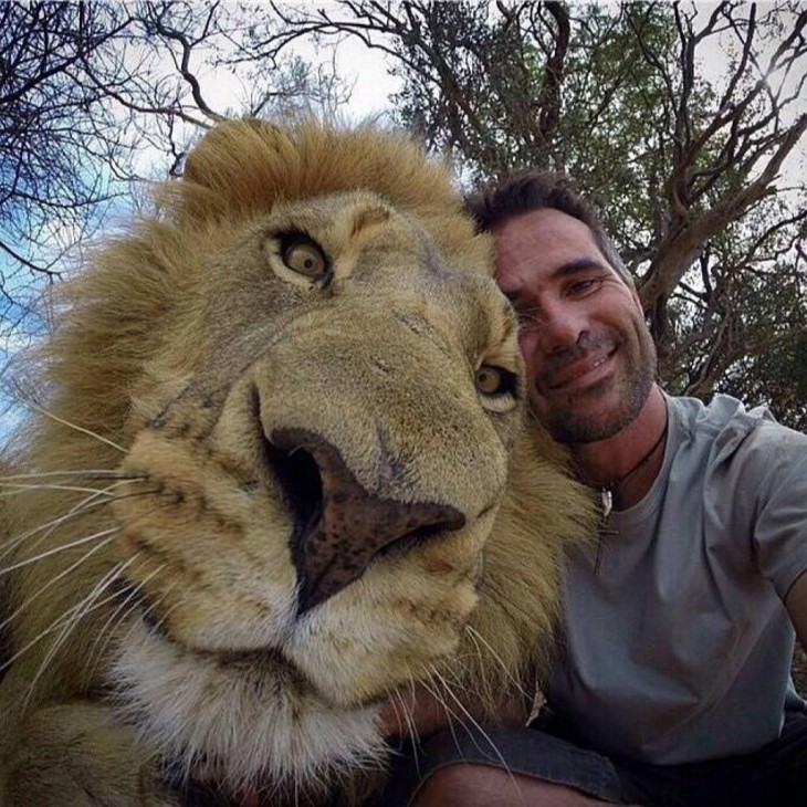 hombre se toma foto selfie con un leon macho