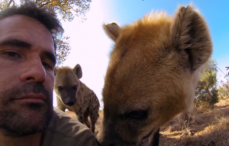 selfie con hienas salvajes