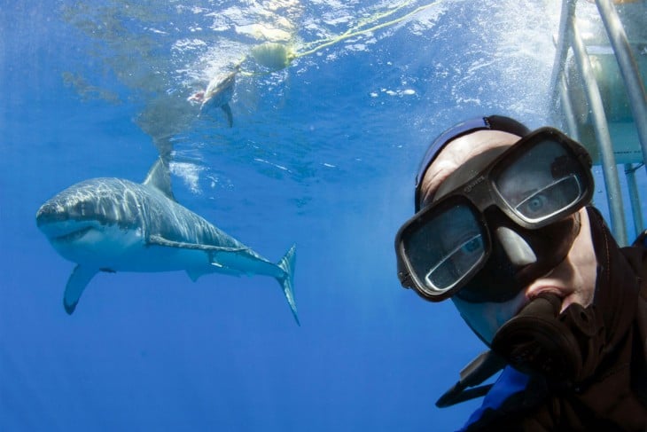 selfie con tiburon blanco