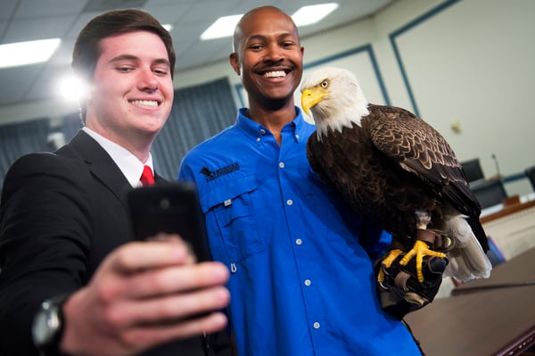 selfie con aguila calva con un celular cetreria