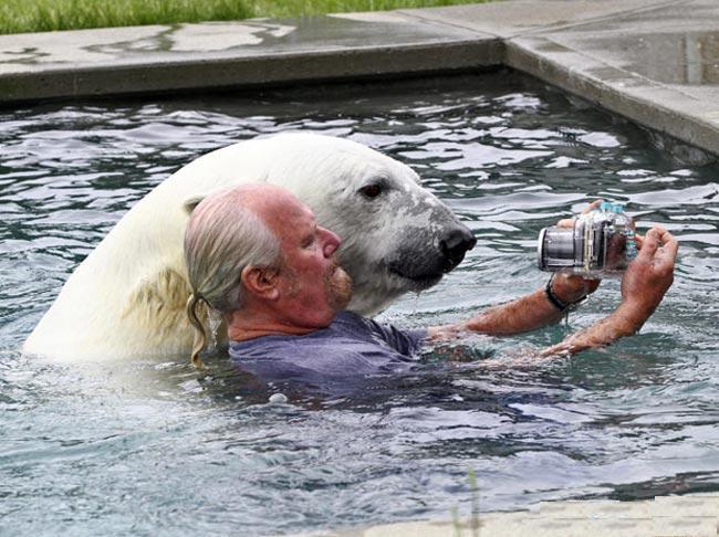 hombre tomandose selfie con oso polar en alberca