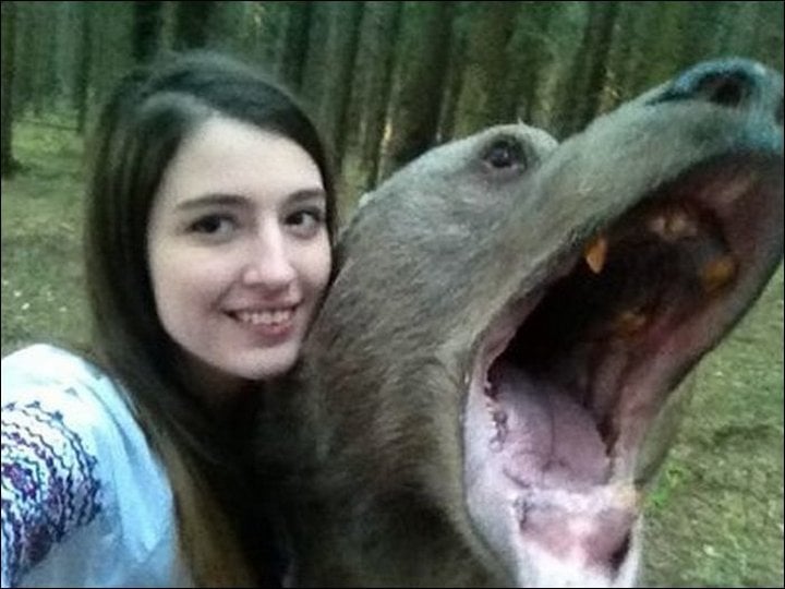 mujer toma selfie con oso salvaje