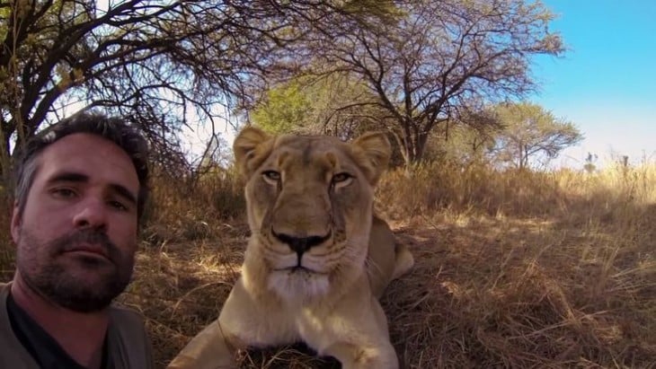 hombre se toma selfie con leona salvaje