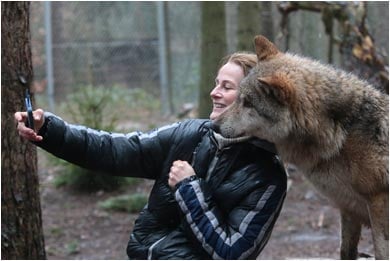 selfie con un lobo en cautiverio