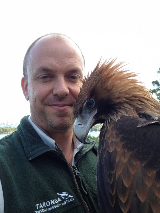 hombre se toma selfie con aguila real cetreria