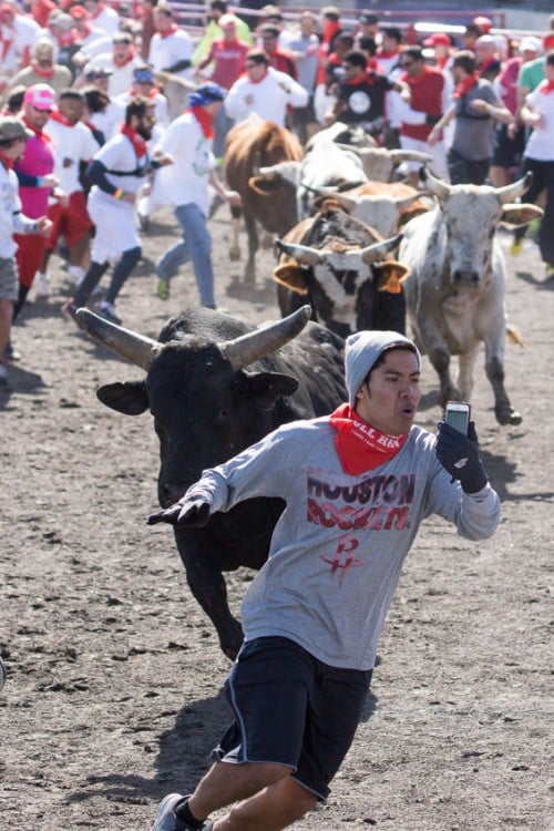 selfie con toros estados unidos houston