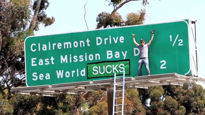 Steve-O es detenido por trepar a una grúa y protestar contra Sea World 