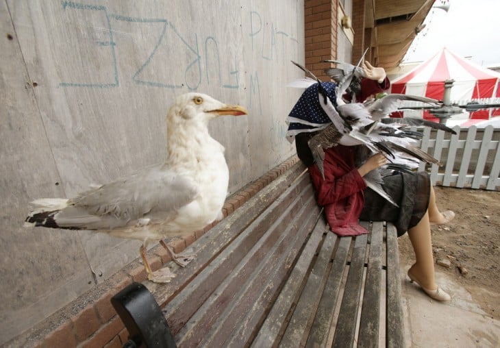 mujer acosada por palomas en dismaland