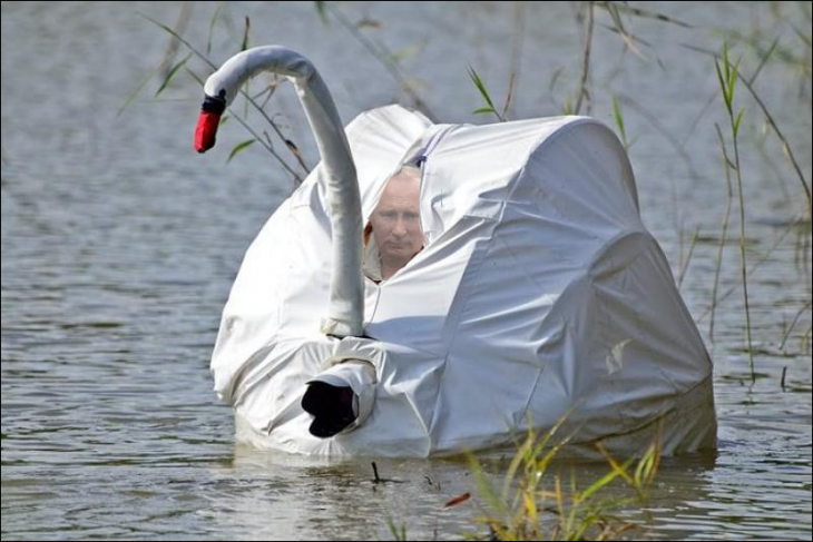 Internet trollea a Putin dentro de su batiscafo con una batalla de Photoshop cisne