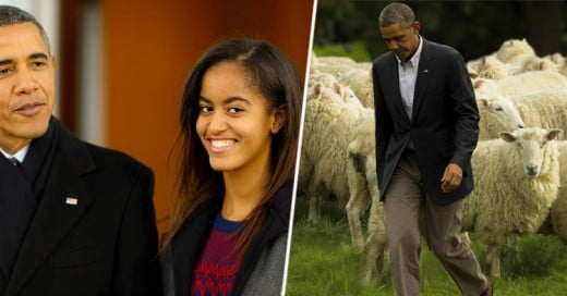 Abogado keniano le ofrece a Obama 50 vacas por la mano de su hija