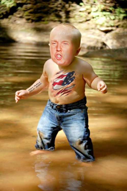 Photoshopean a bebé, donald trump