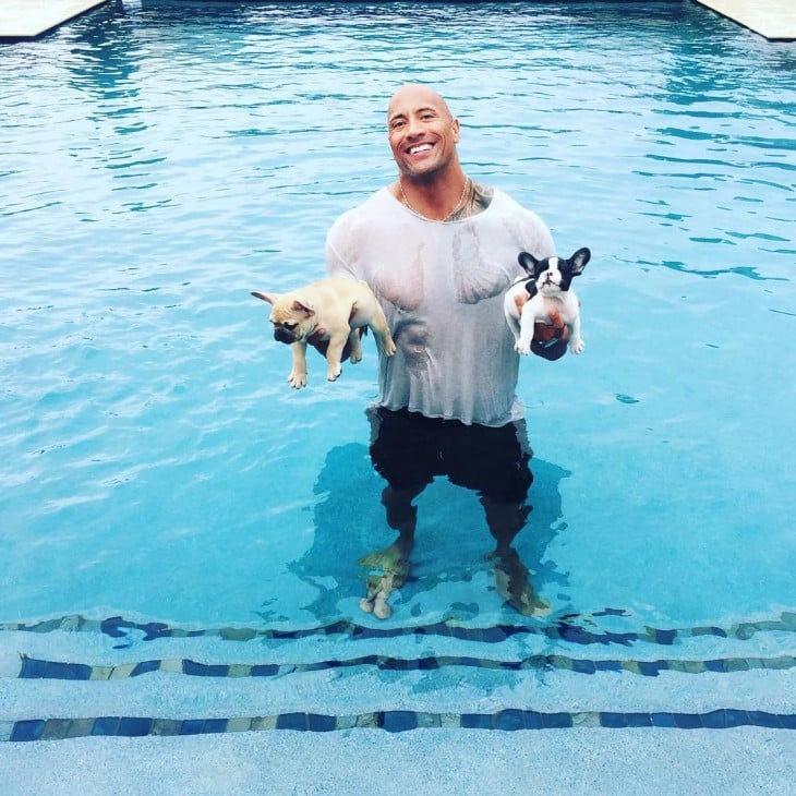 dwayne johnson salva a su perrito de ahogarse en alberca