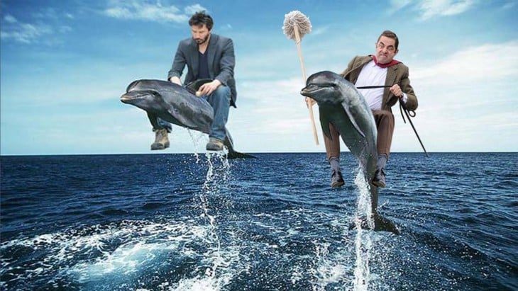 photosopean a mr bean Keanu Revees delfines