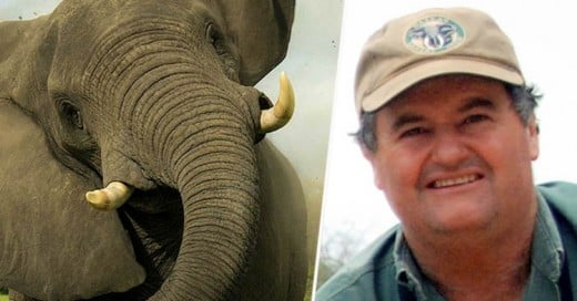 Cazador muere por el mismo elefante que intentaba cazar