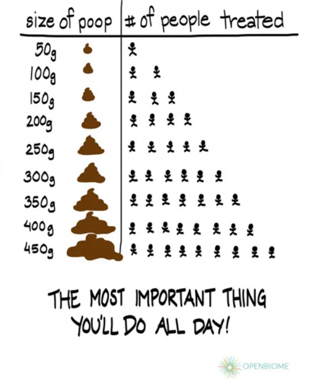 Esquema de heces fecales por persona para tratamiento