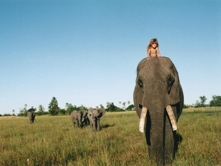 Tippi monta en elefante