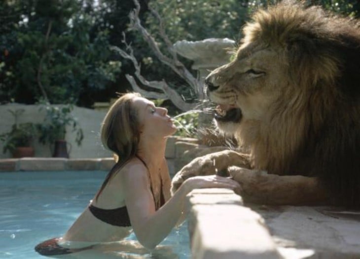 Tippi con un león