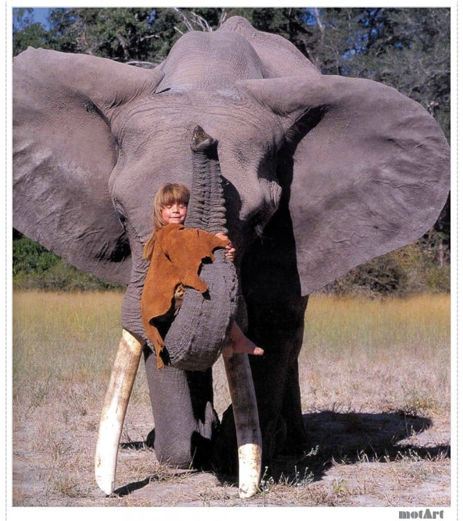 Tippi montada en trompa de elefante