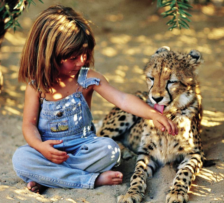 Tippi con su amigo leopardo