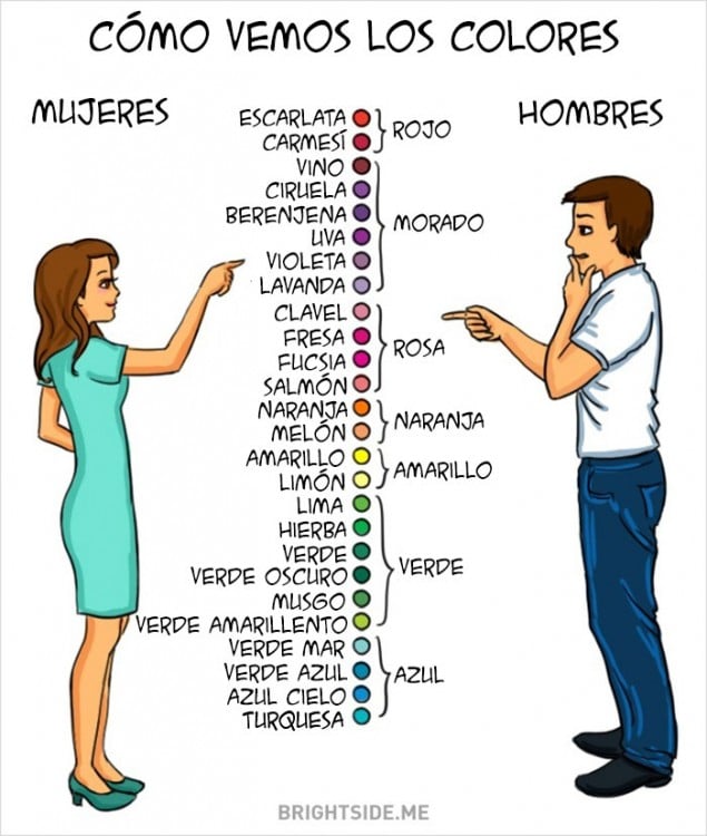 colores Diferencias Hombres y mujeres