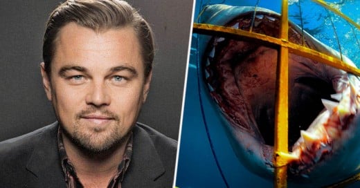 Algunas razones por las que ser amigo de DiCaprio no es buena idea ¡Podría ser mortal!