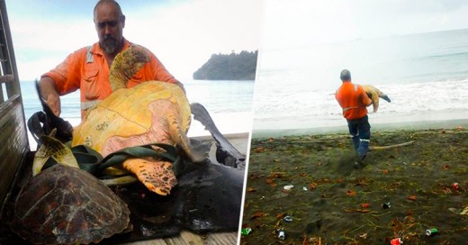 Dos amigos rescatan a tortugas del Mercado Negro de Papúa Nueva Guinea para regresarlas al mar