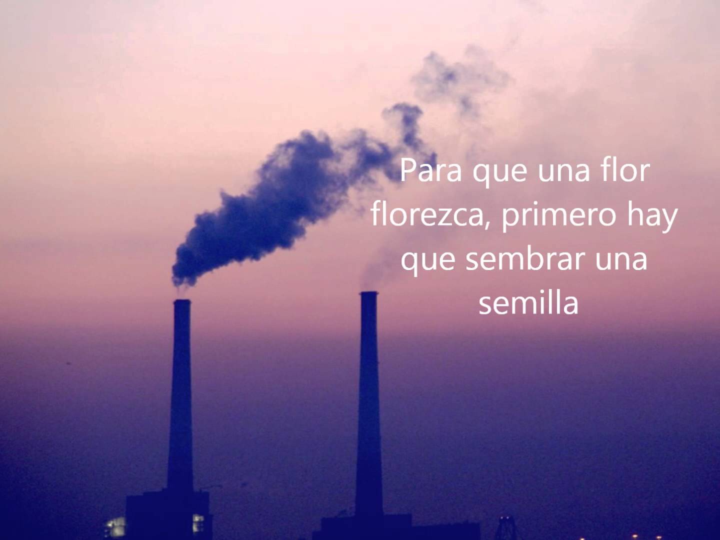 Frase inspiradora para