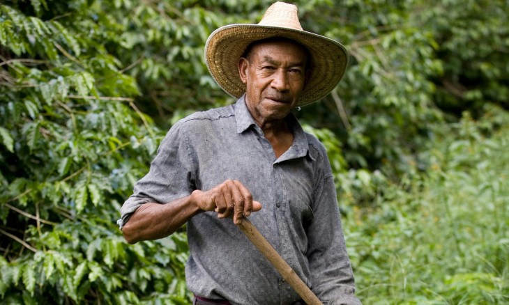 Agricultor se supone encontró 600 mdd