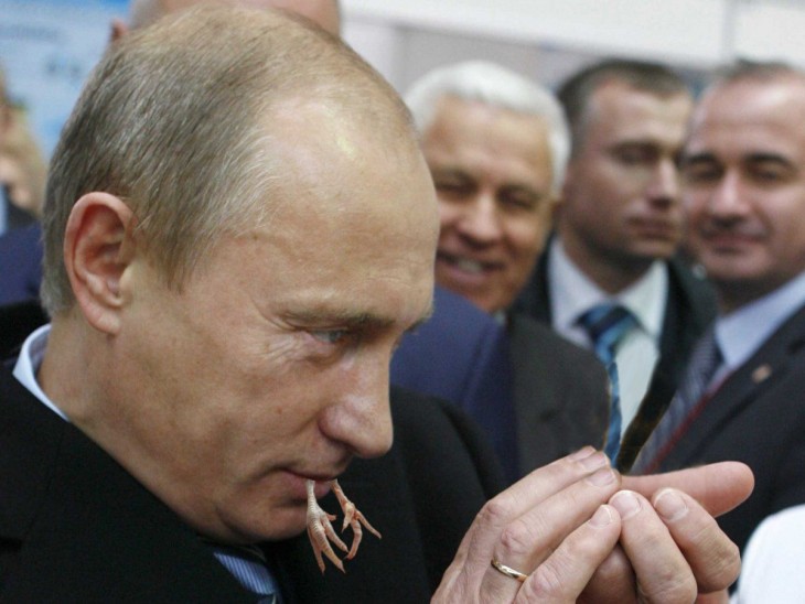 Vladimir Putin en batalla de Photoshop