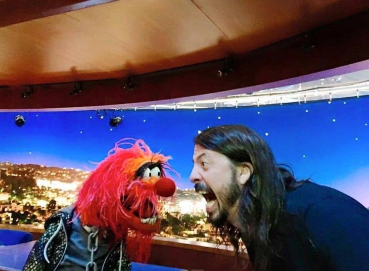 Dave Grohl contra animal