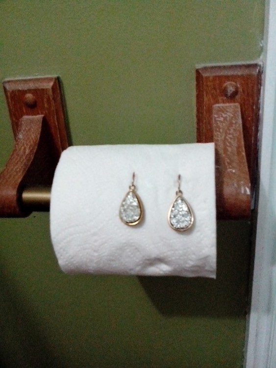 borracho aretes en el papel de baño