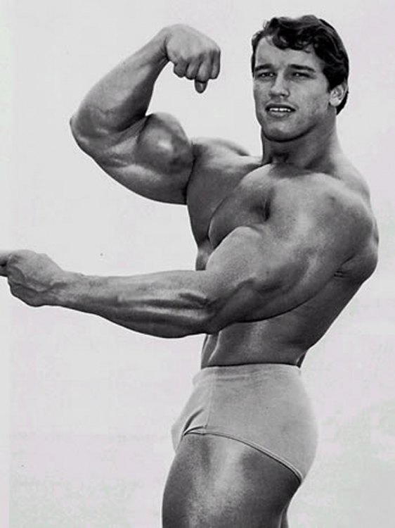 Arnold Schwarzenegger joven