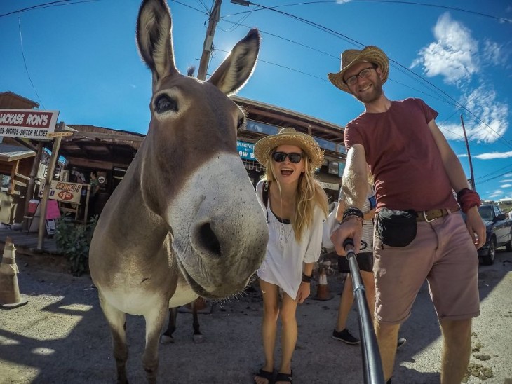 pareja de polonia y burro