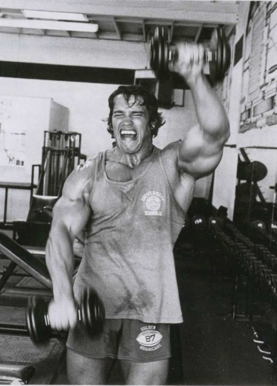 Arnold Schwarzenegger gimnasio