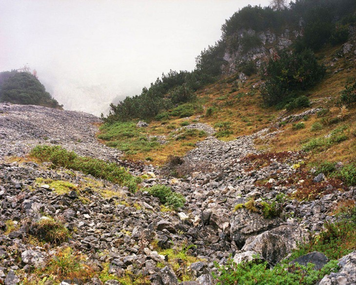 fotografía de un bosque alemán