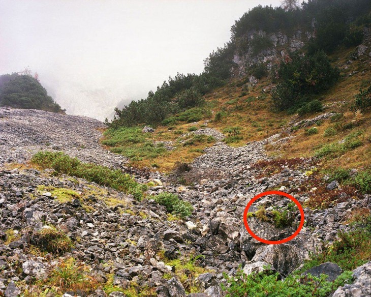 Francotirador escondido en fotografía de un bosque alemán