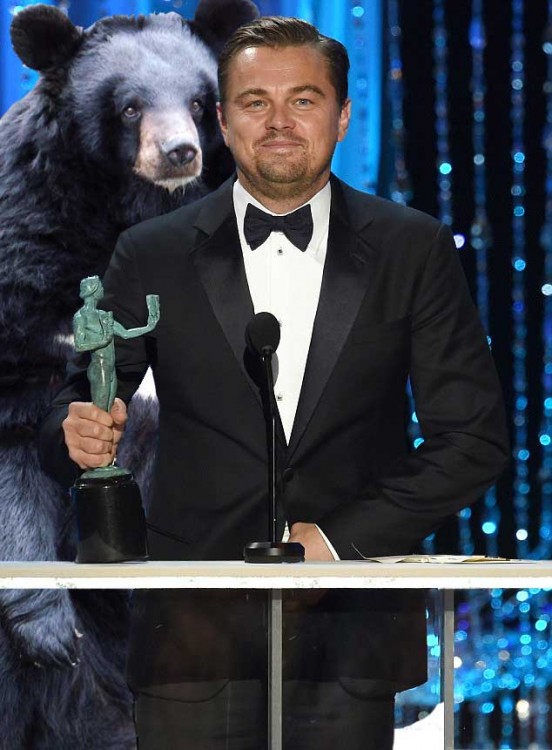 Dicaprio premio photoshop oso