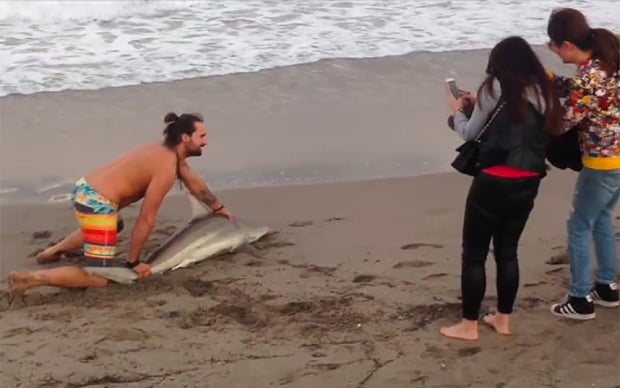 Bañista saca a tiburón para selfie