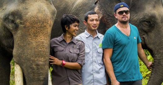 DiCaprio busca construir santuario para animales, ¡E Indonesia lo amenaza; podría vetarlo!