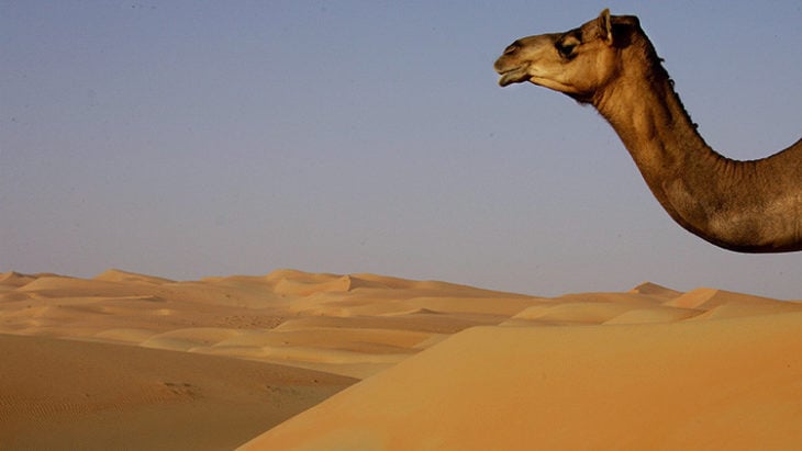 Desierto en los Emiratos Árabes Unidos