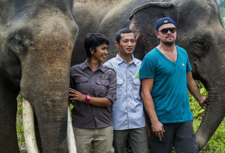 leonardo dicaprio tailandia