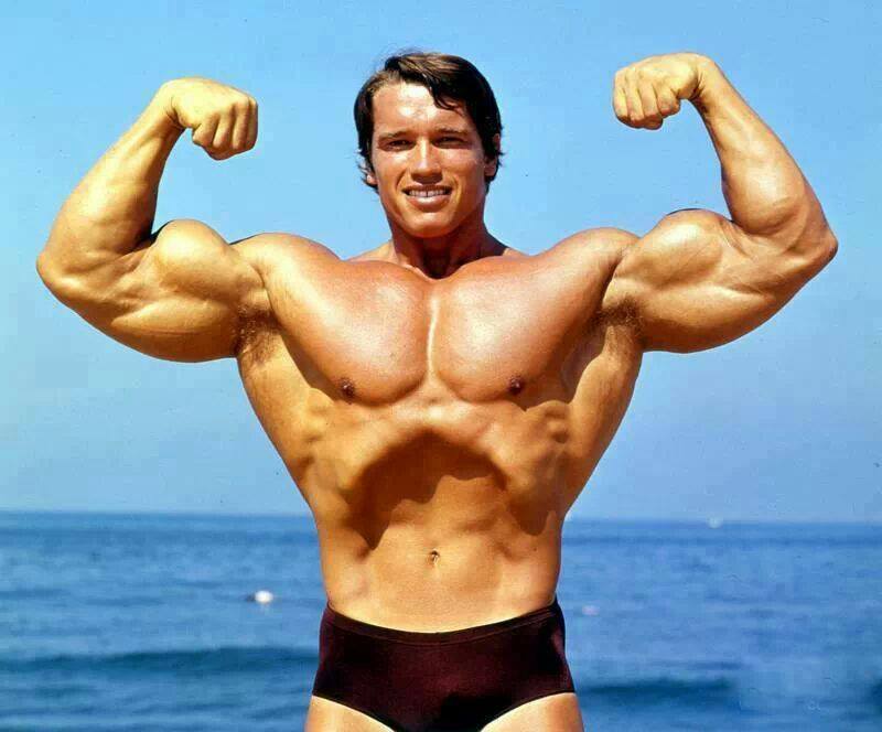 Arnold