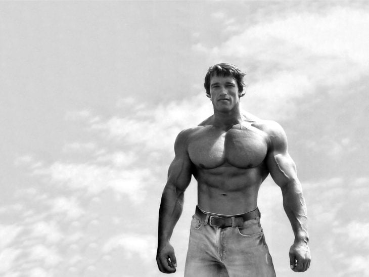 arnold schwarzenegger